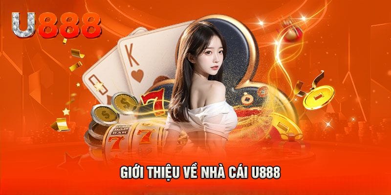 Những thông tin quan trọng về chúng tôi mà bạn có thể chưa biết